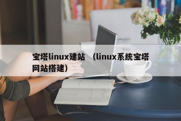 宝塔linux建站 （linux系统宝塔网站搭建）
