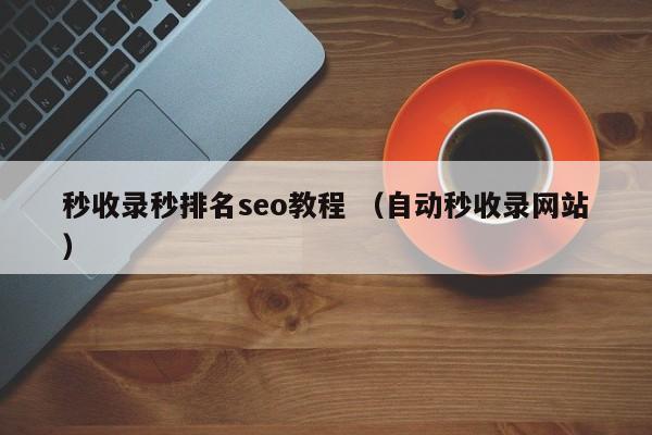 秒收录秒排名seo教程 （自动秒收录网站）