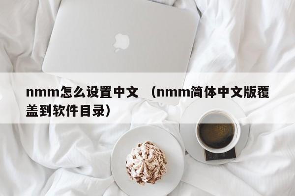 nmm怎么设置中文 （nmm简体中文版覆盖到软件目录）