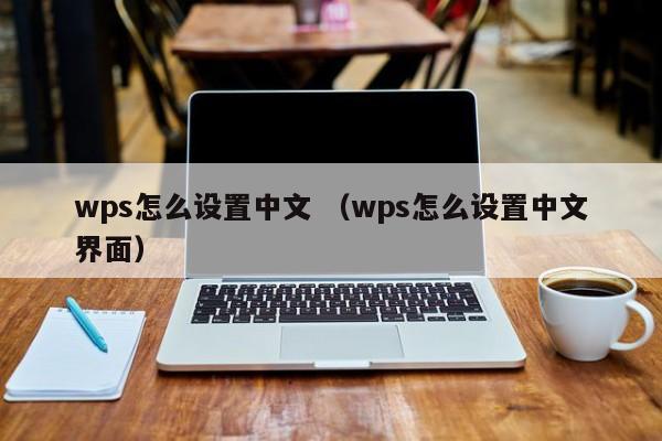 wps怎么设置中文 （wps怎么设置中文界面）